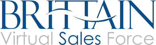 Logo for Virtual Sales Team