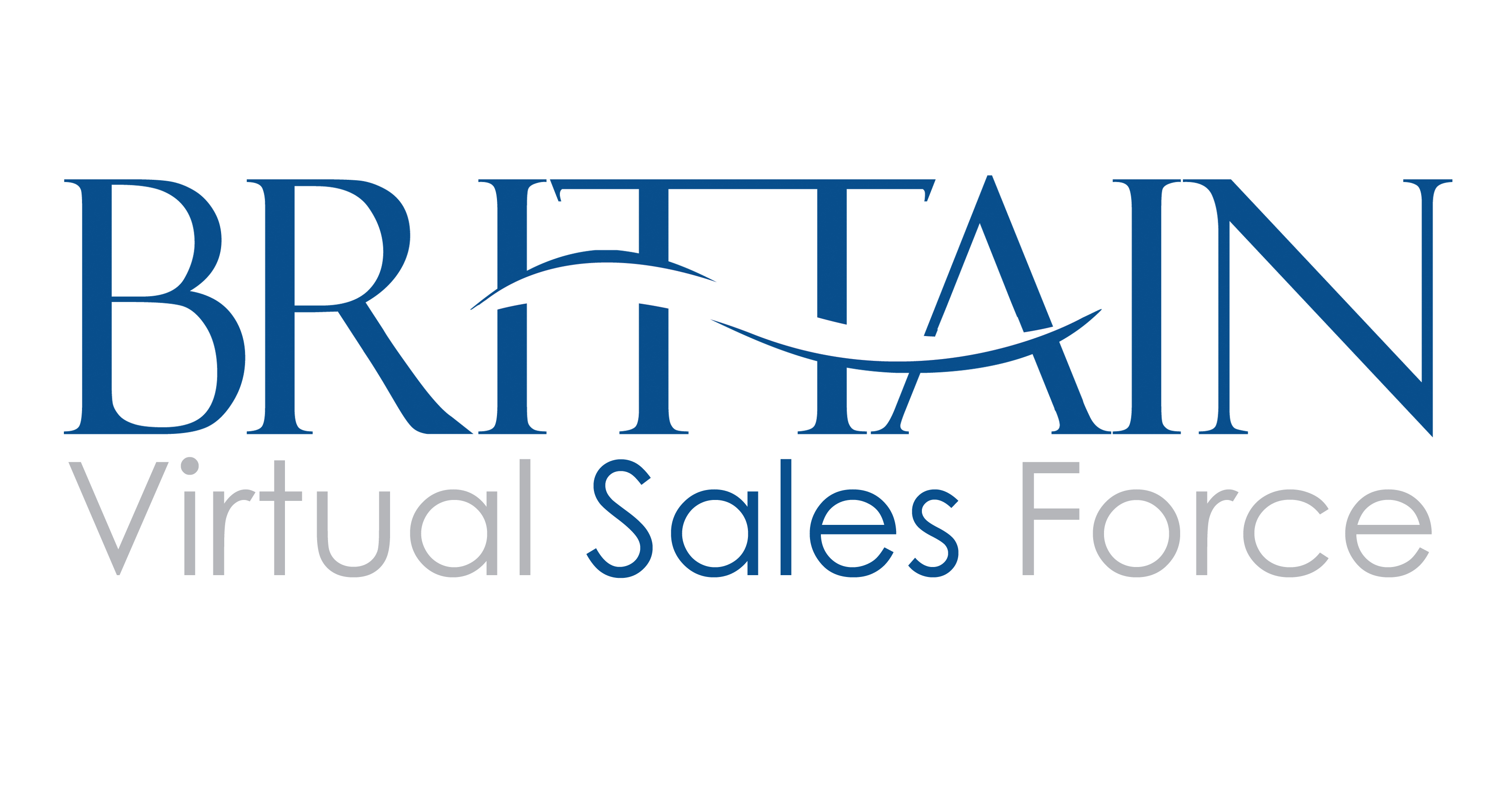 Logo for Virtual Sales Team