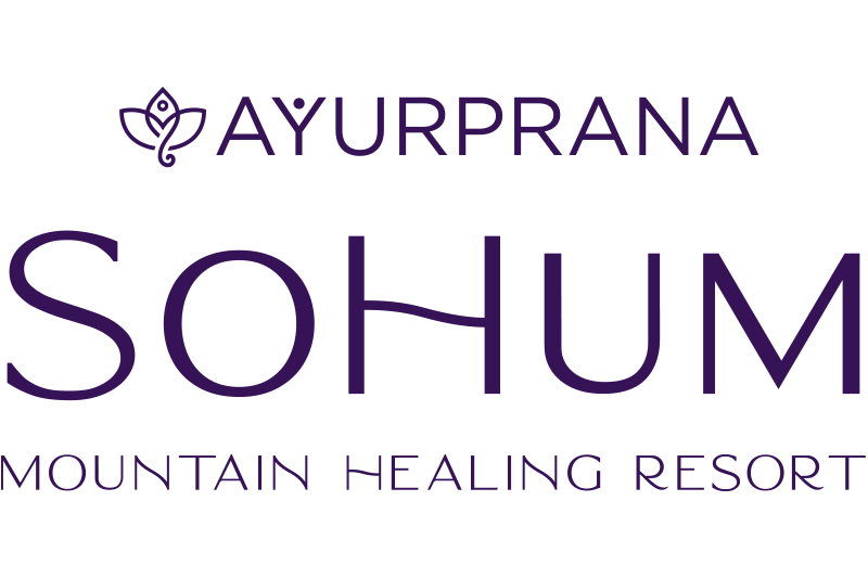 Logo for SoHum Mountain Healing Resort