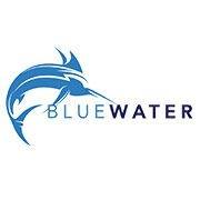 Logo for Blue Water Development Corp