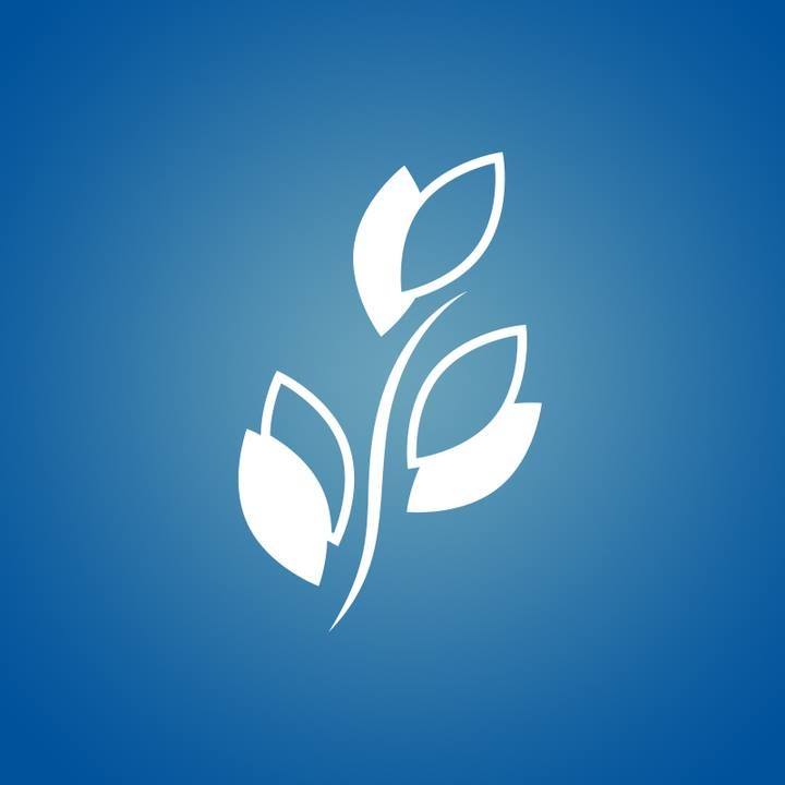 Logo for Brookdale Lake Shore Drive