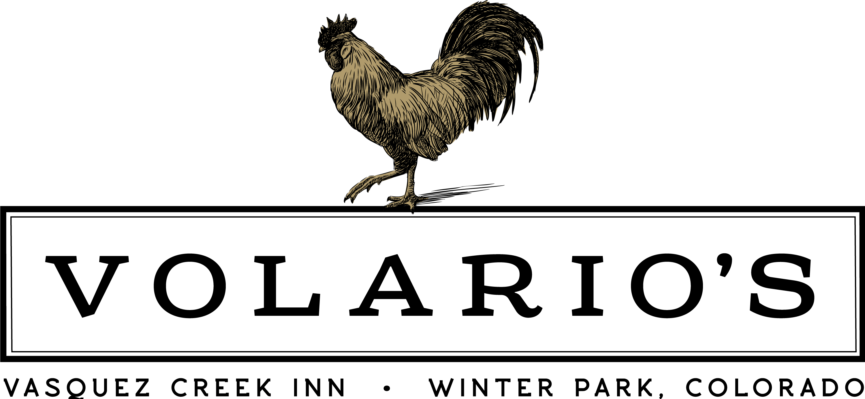Logo for Volario's