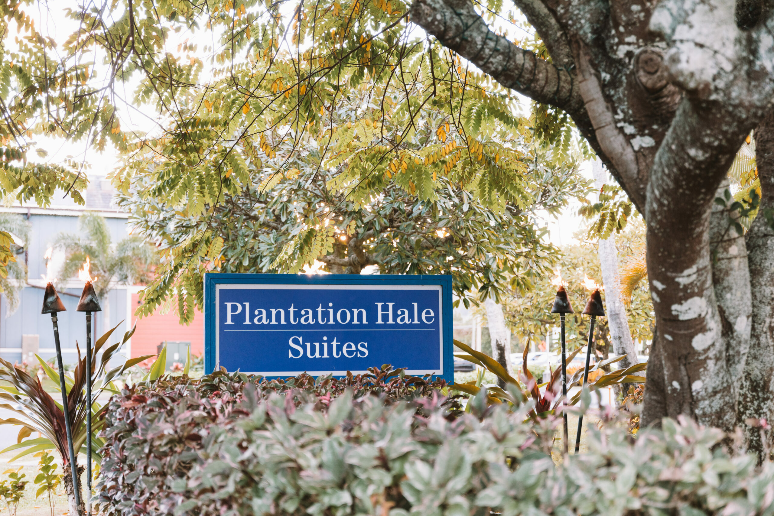 Photo of Plantation Hale Suites, Kapaa, Kauai, HI