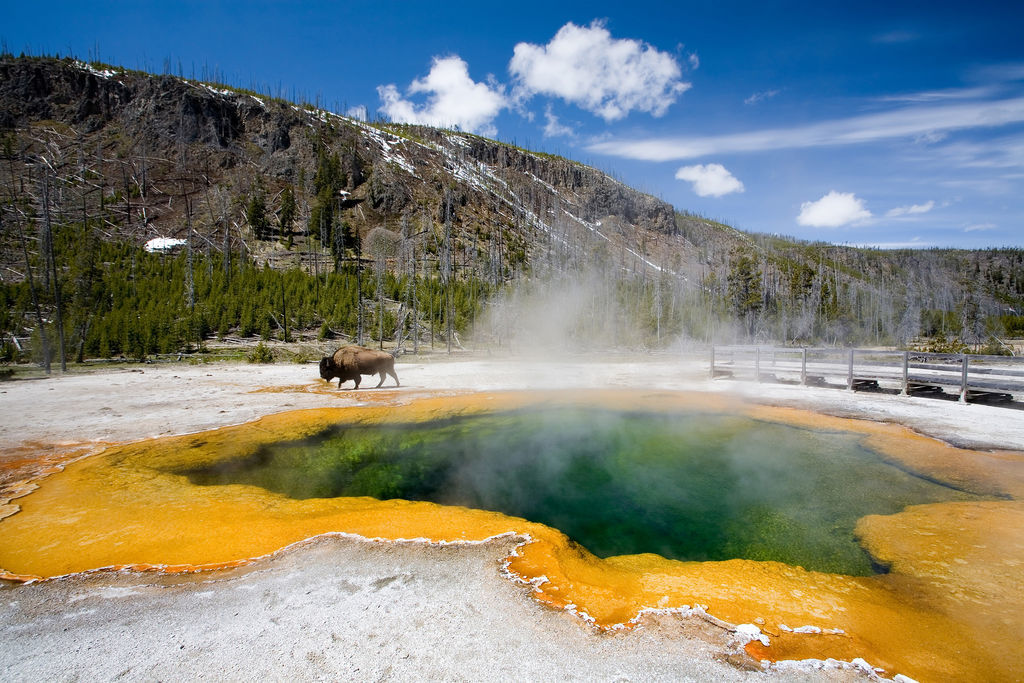 Photo of Yellowstone National Park Lodges, Yellowstone, WY