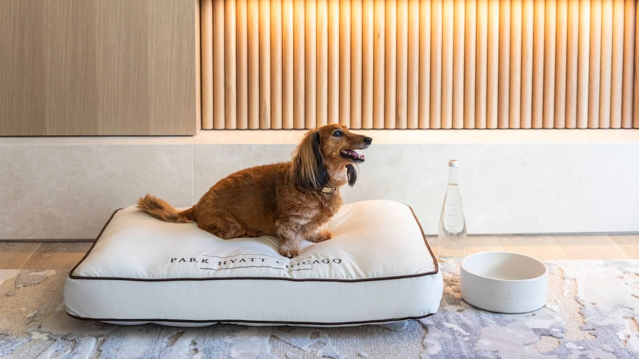 Photo of Park Hyatt Chicago, Chicago, IL