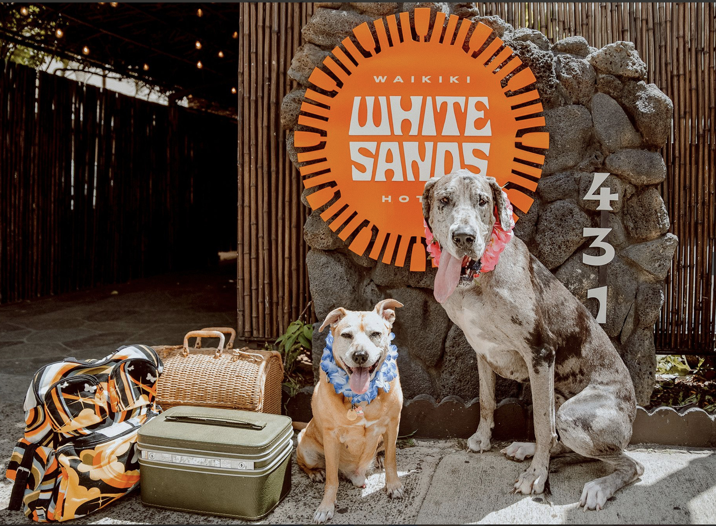 Photo of White Sands Hotel, Honolulu, HI