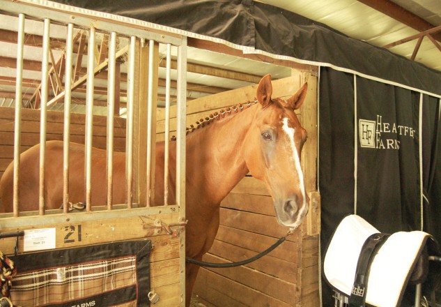 Photo of World Equestrian Center, Wilmington, OH