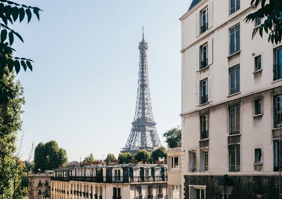 Photo of Oasis Collections - Paris, Paris, France