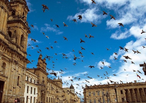 Photo of Oasis Collections - Bogota, Bogotá, Colombia