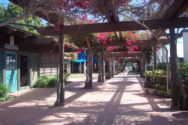 Photo of Marina Village Conference Center and Marina, San Diego, CA