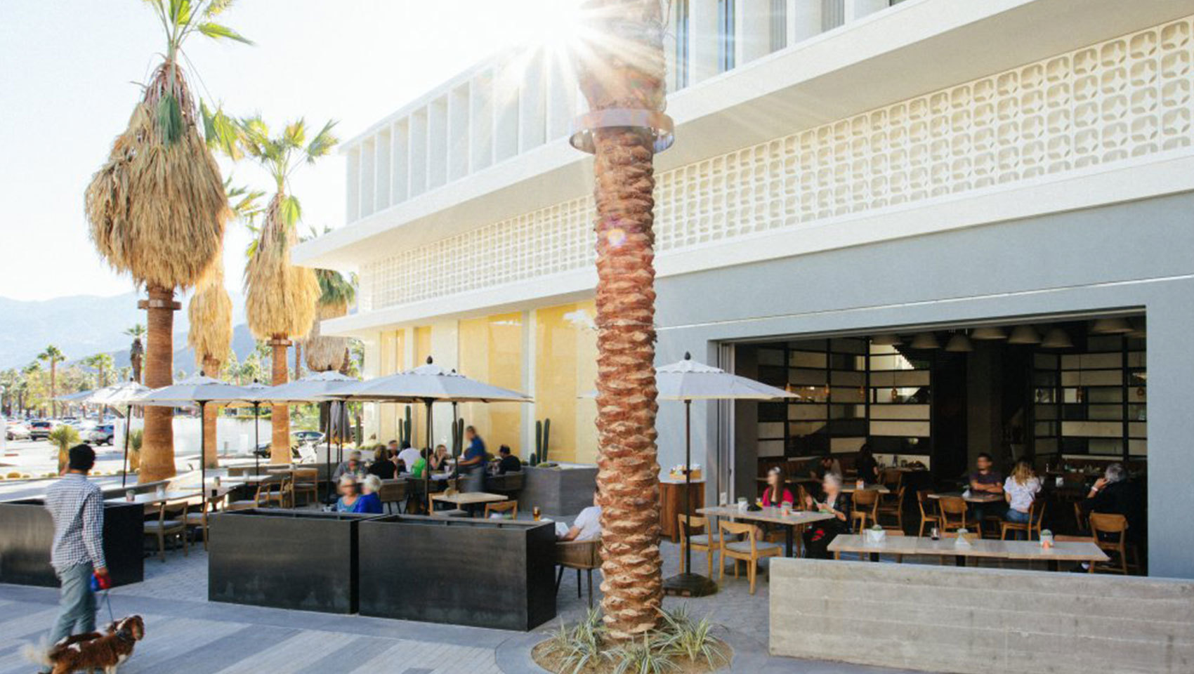 Photo of Juniper Table, Palm Springs, CA