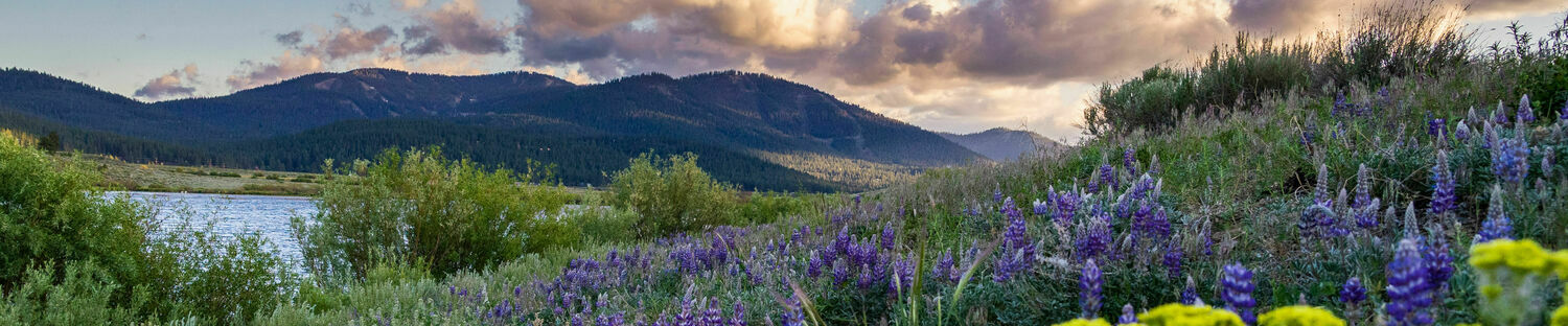Photo of Northstar California Resort, Truckee, CA