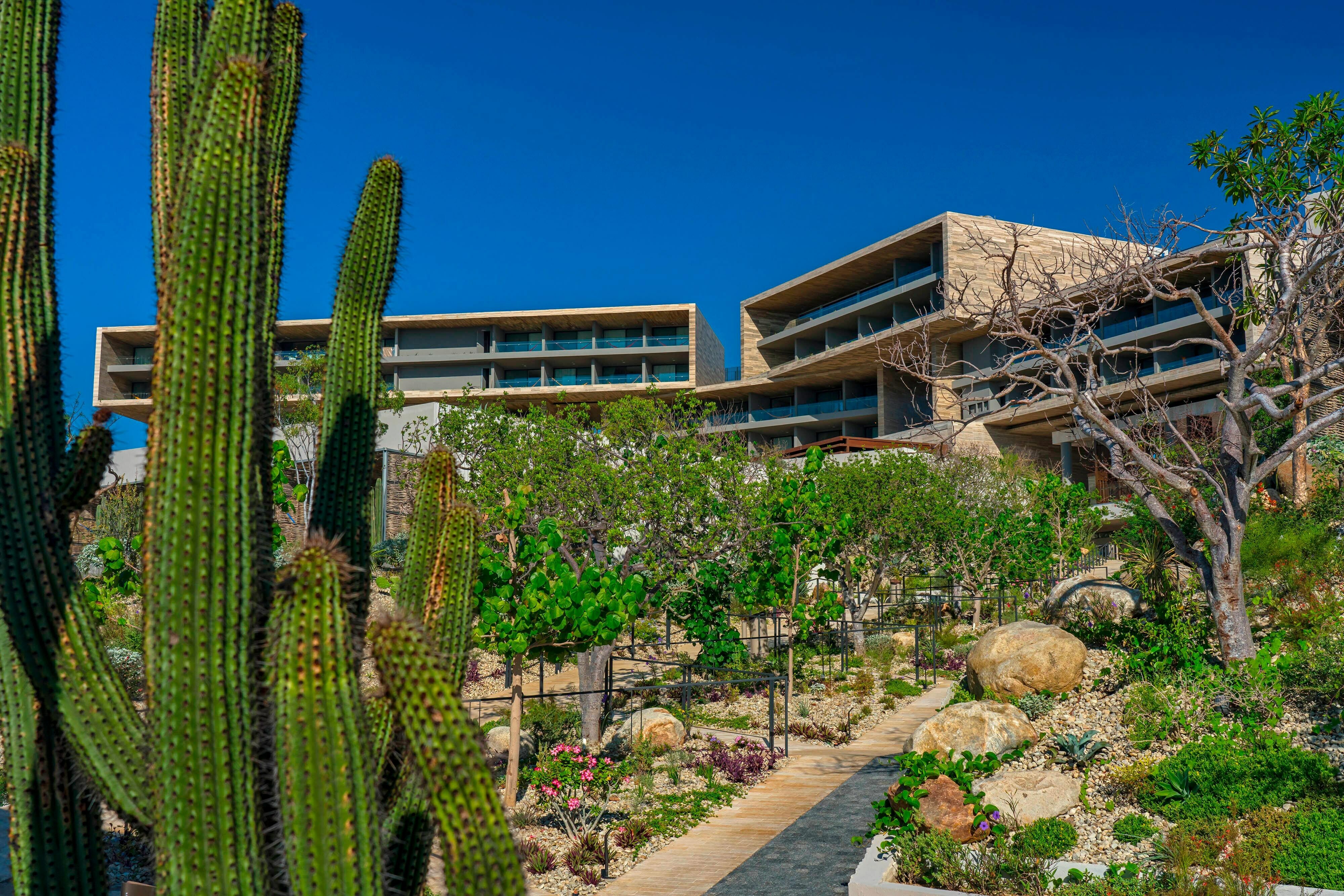 Photo of Solaz, a Luxury Collection Resort, Los Cabos, San Jose del Cabo, Mexico