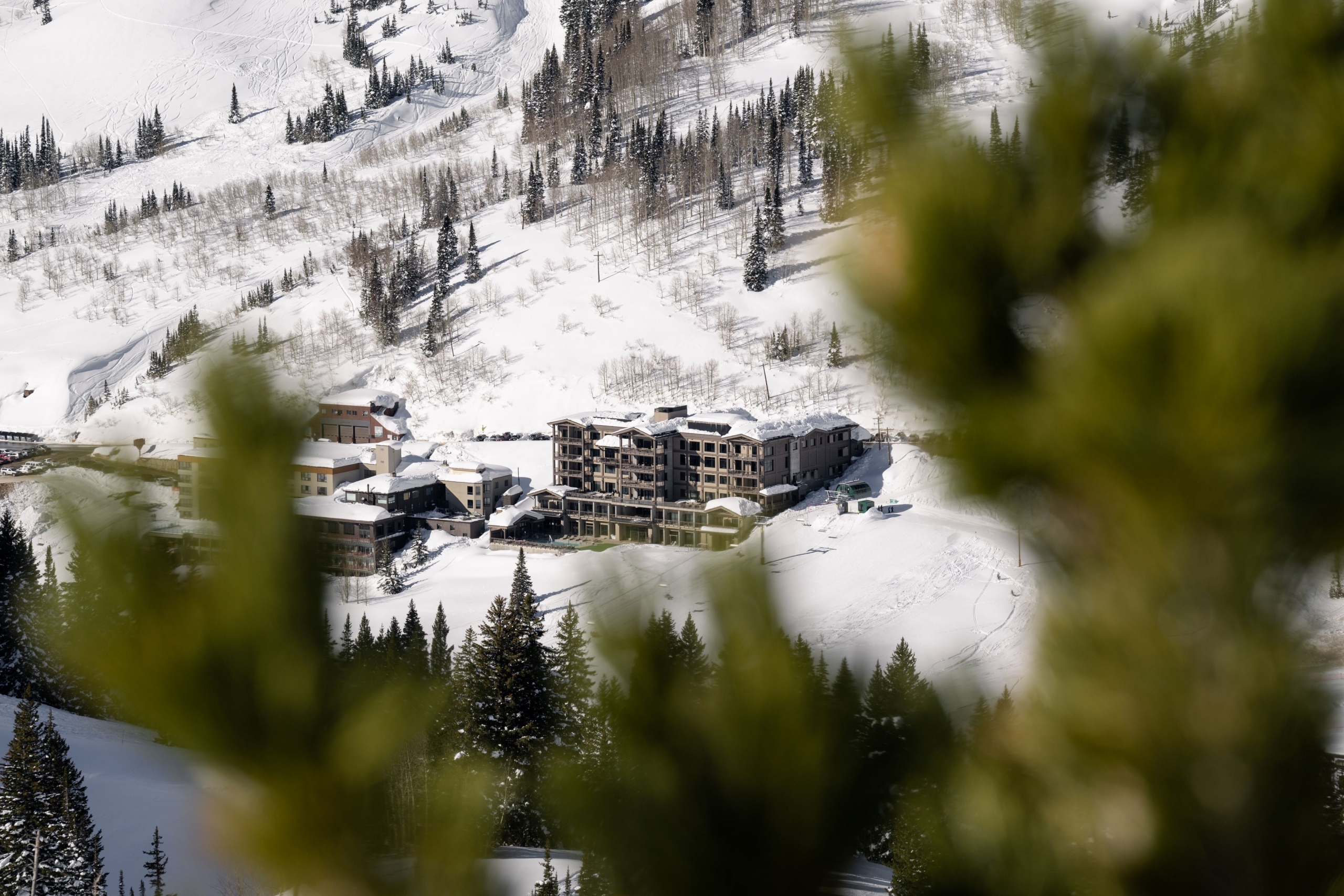Photo of Snowpine Lodge, Alta, UT