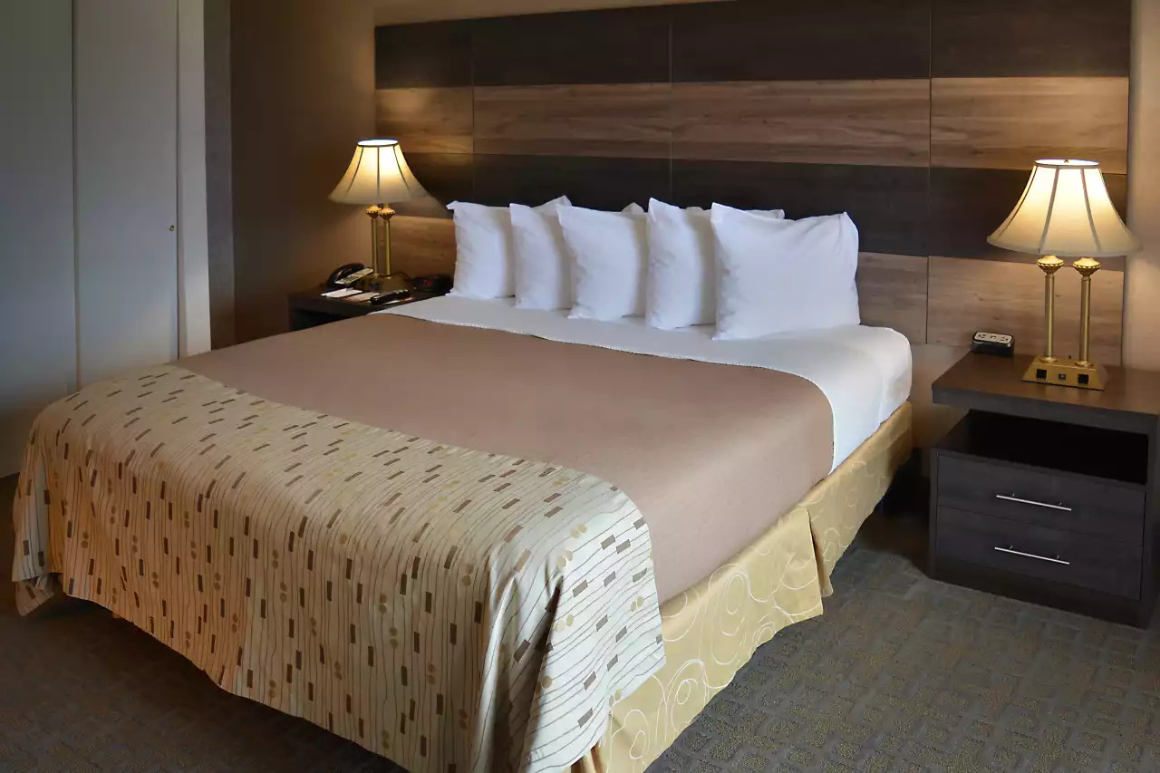 Photo of Clarion Hotel Philadelphia International Airport, Essington, PA