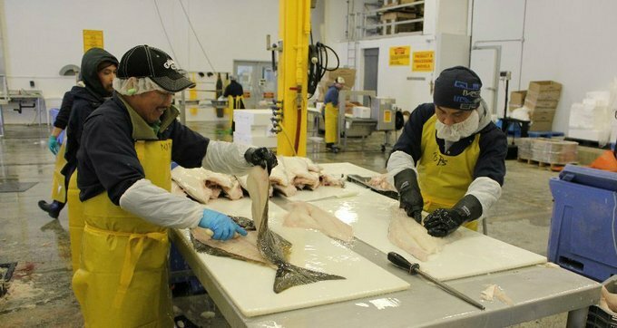 Photo of C2C Premium Seafood, Richmond, BC, Canada