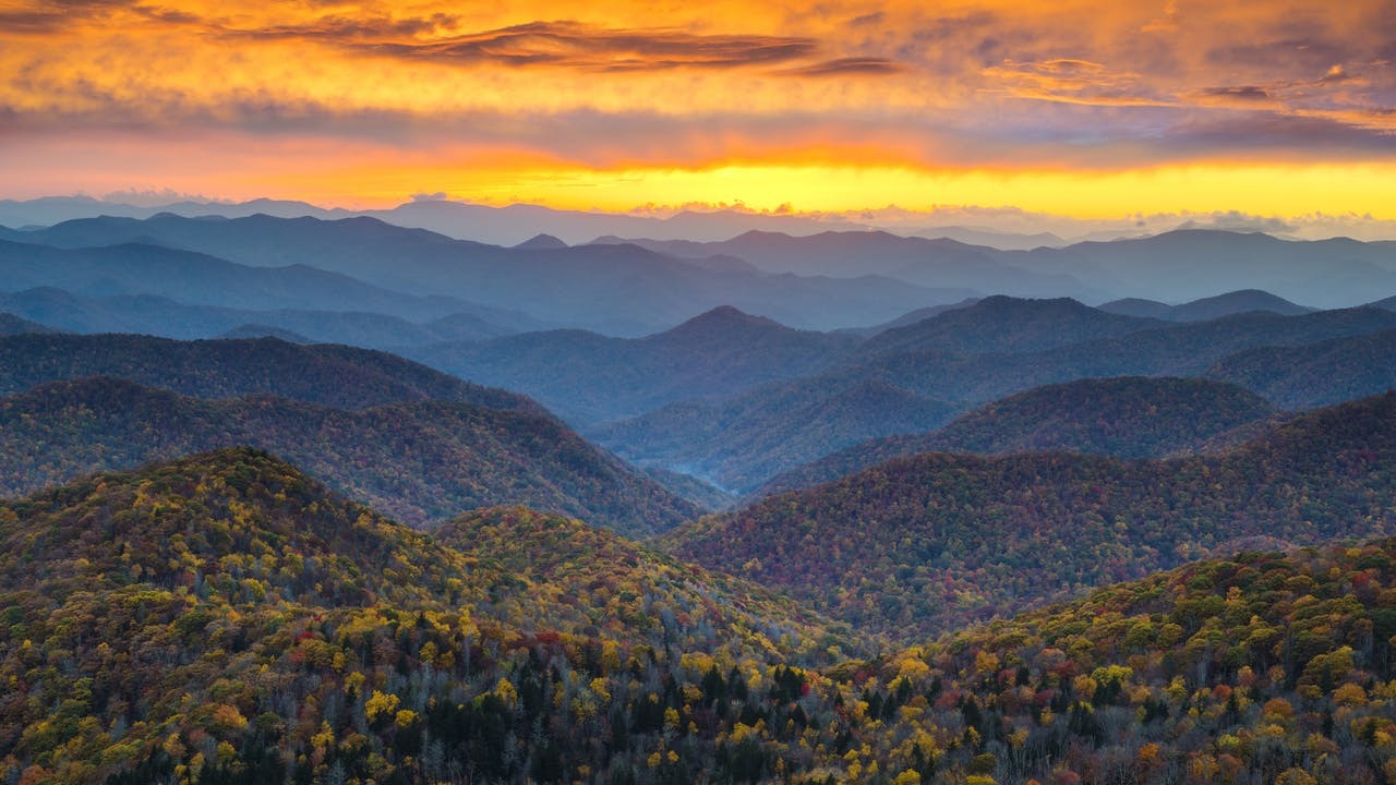 Photo of Friday Services, Asheville, NC