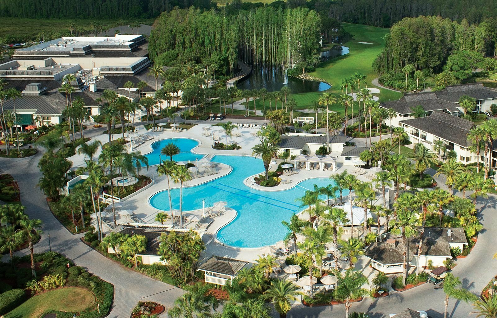 Photo of Saddlebrook Resort, Wesley Chapel, FL