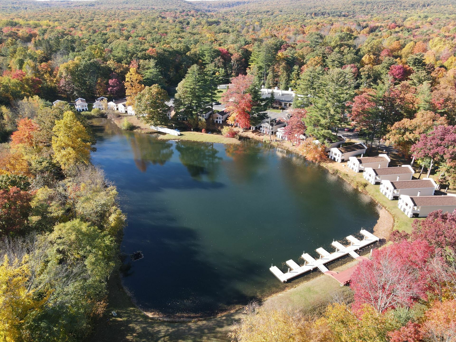 Photo of Paradise Stream, Cresco, PA