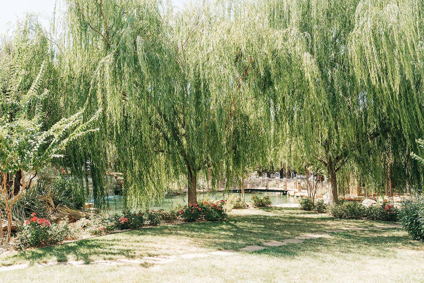 Photo of The Willows Event Center, Lubbock, TX