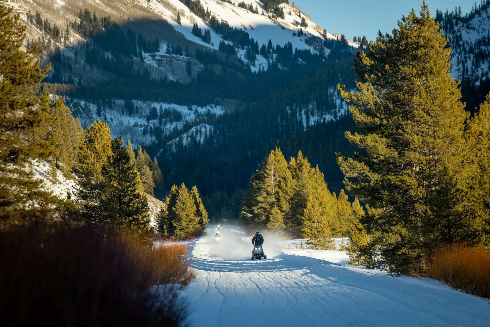 Photo of Nova Guides, Red Cliff, CO