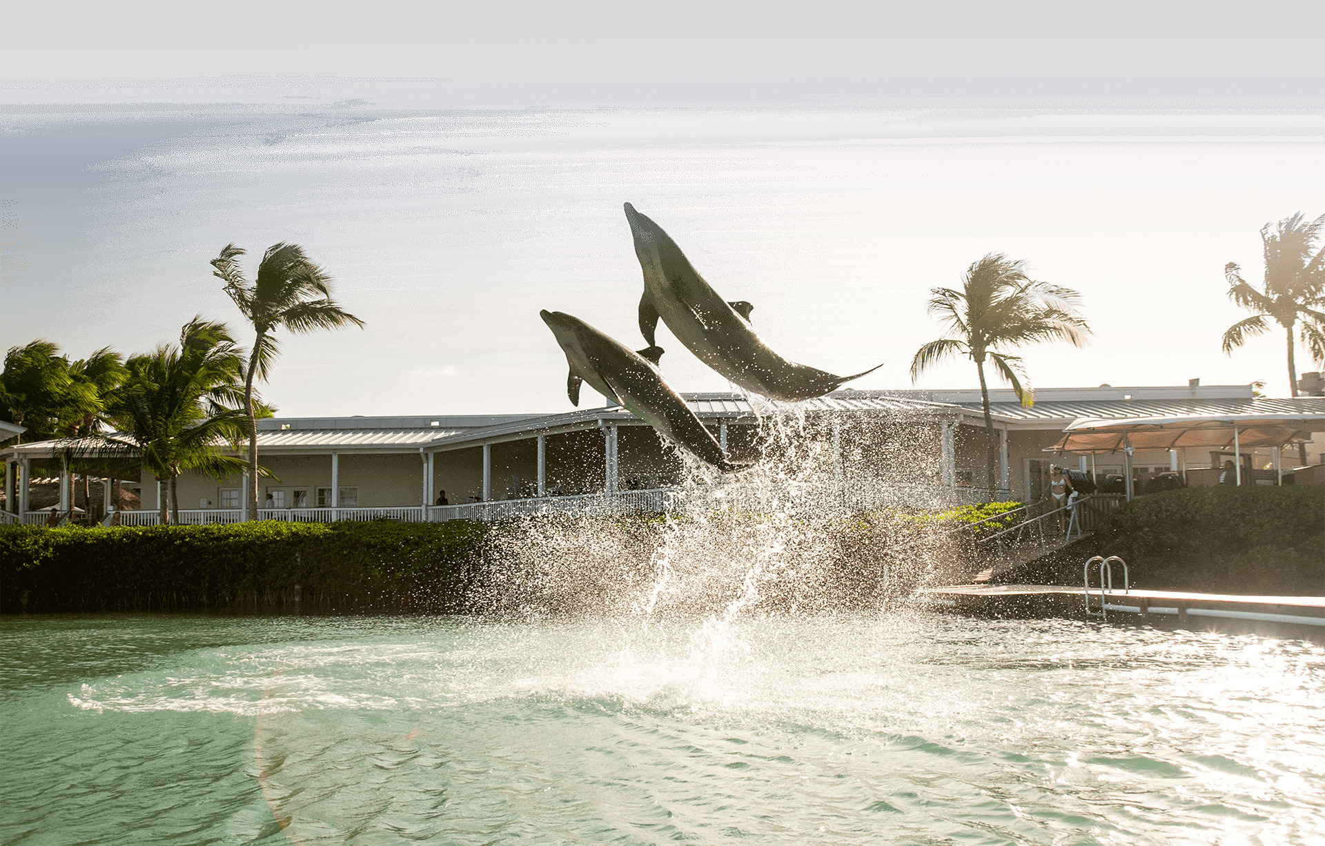 Photo of Hawks Cay Resort, Duck Key, FL