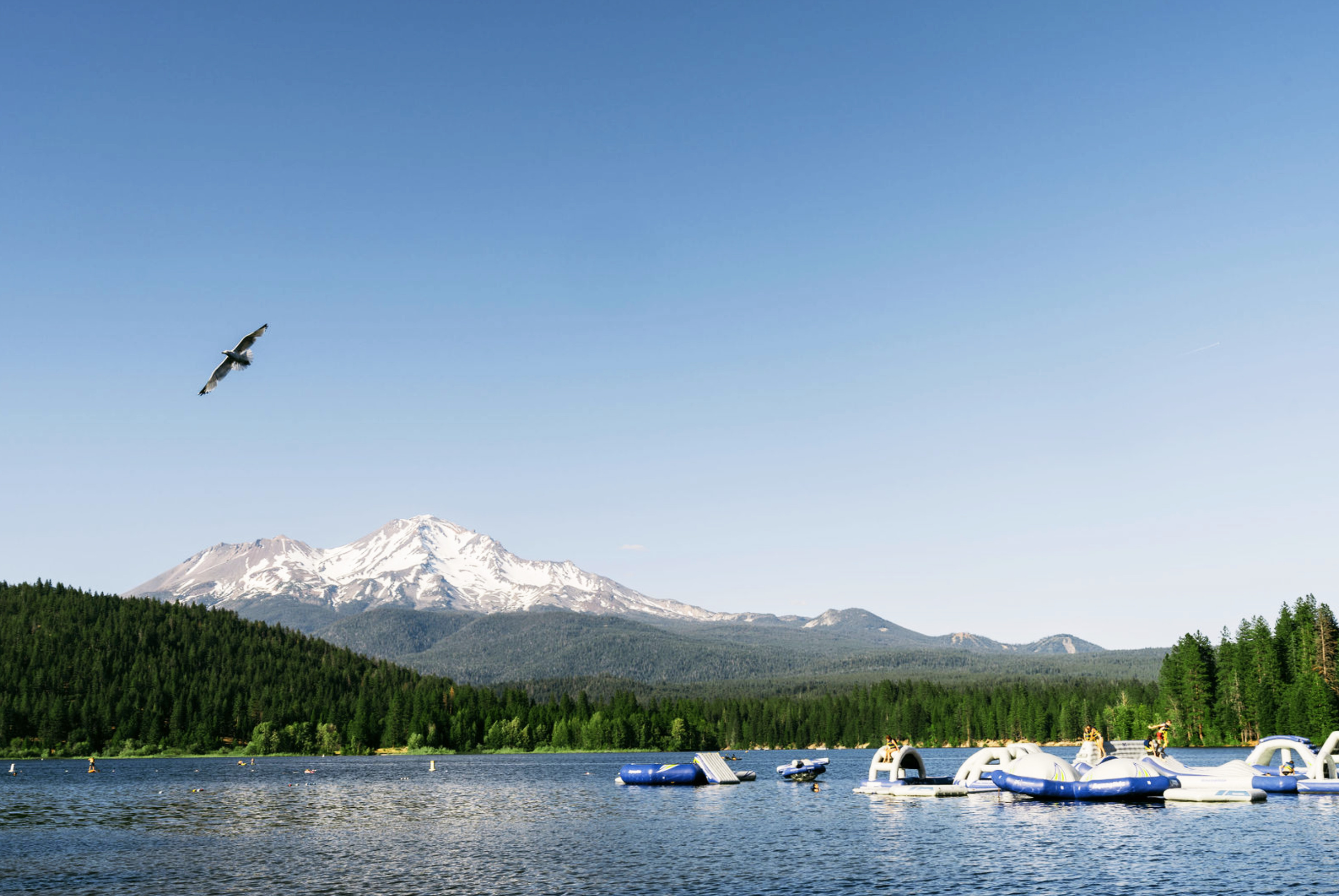 Photo of Lake Siskiyou Camp Resort, Mount Shasta, CA