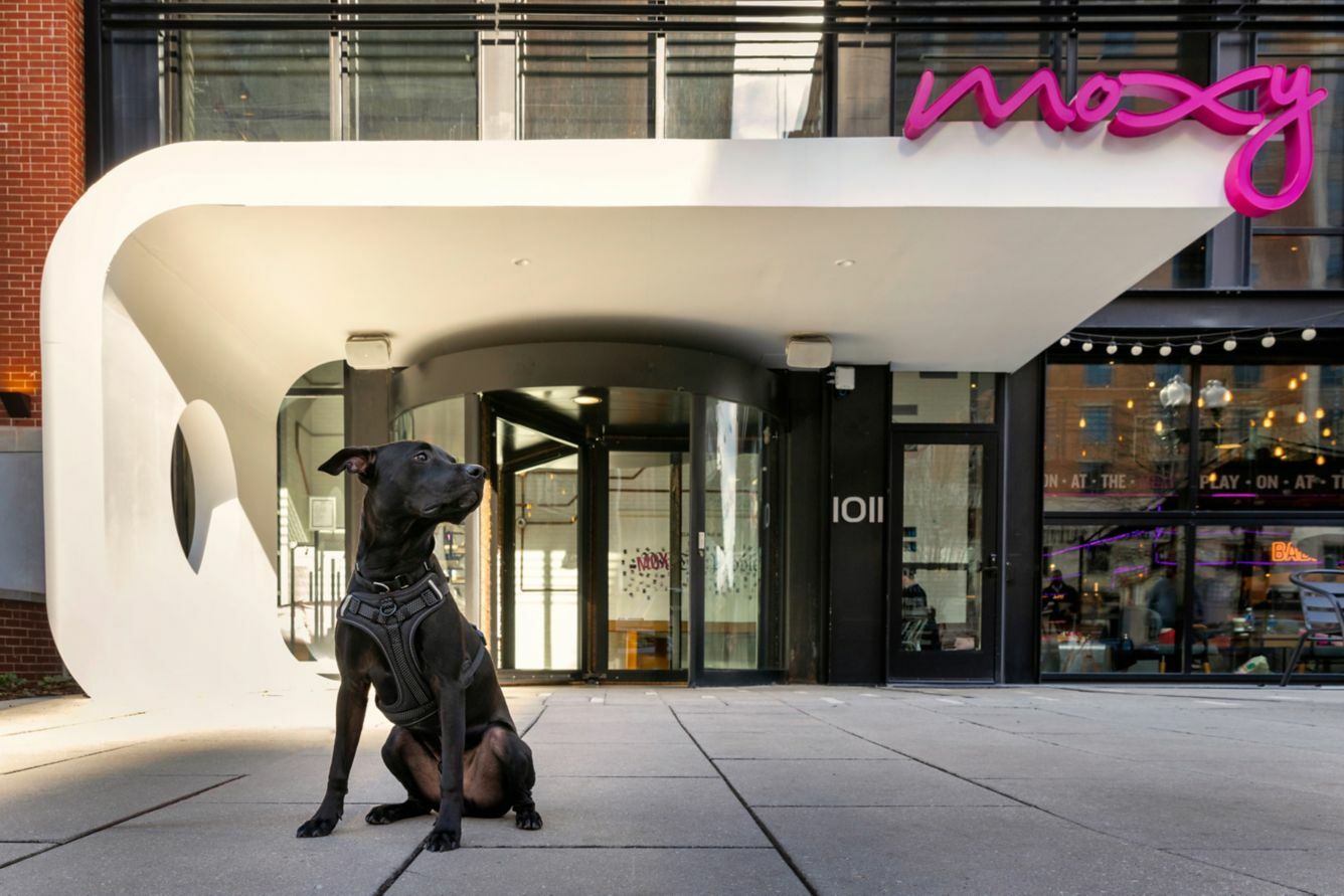 Photo of Moxy Washington, DC Downtown, Washington, DC