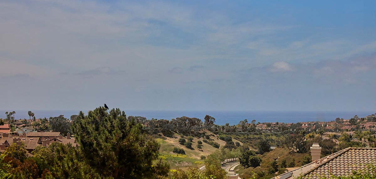 Photo of Bottega Angelina, Laguna Niguel, CA