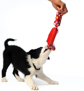 Cute photo of Hospitality Hound