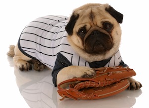 Cute photo of Hospitality Hound