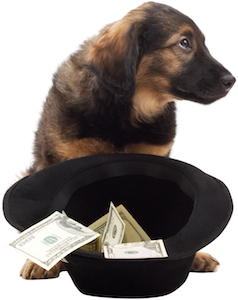 Cute photo of Hospitality Hound