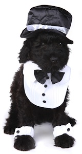 Cute photo of Hospitality Hound