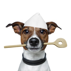 Cute photo of Hospitality Hound