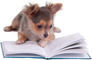 Cute photo of Hospitality Hound