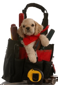 Cute photo of Hospitality Hound